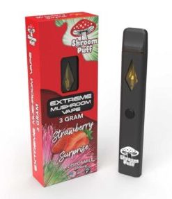 Shroom Puff Mushroom Disposable