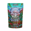 Peach Magic Mushroom Tea