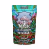 Ginger Lemon Shroom Tea 1000MG