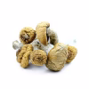 Wavy Cap Magic Mushrooms