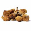 Cambodian Magic Mushrooms