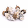 Goldmember Mushrooms online